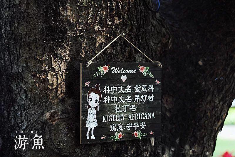 探索手掌💃鞋🌂是什么成语?知识星球,解锁无限智慧!
